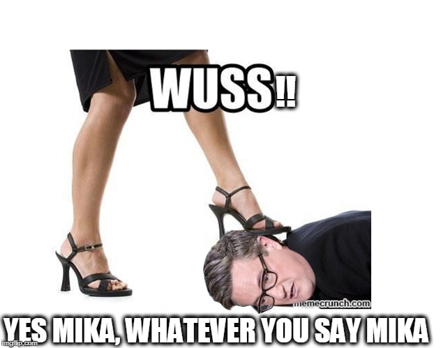 WUSS SCARBOROUGH | !! YES MIKA, WHATEVER YOU SAY MIKA | image tagged in dominatrix | made w/ Imgflip meme maker
