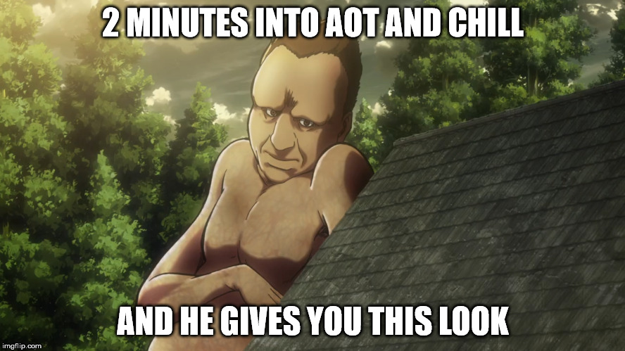 AOT AND CHILL | 2 MINUTES INTO AOT AND CHILL; AND HE GIVES YOU THIS LOOK | image tagged in attack on titan,netflix and chill | made w/ Imgflip meme maker