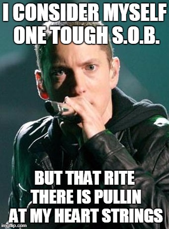 Tough Guy | I CONSIDER MYSELF ONE TOUGH S.O.B. BUT THAT RITE THERE IS PULLIN AT MY HEART STRINGS | image tagged in eminem,rap,cute,puppy,kittens | made w/ Imgflip meme maker