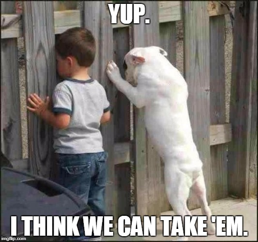 Boy and dog | YUP. I THINK WE CAN TAKE 'EM. | image tagged in dog,boy,fight,funny memes | made w/ Imgflip meme maker
