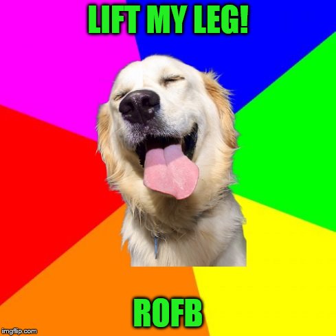 Anti Pun Dog | LIFT MY LEG! ROFB | image tagged in anti pun dog | made w/ Imgflip meme maker
