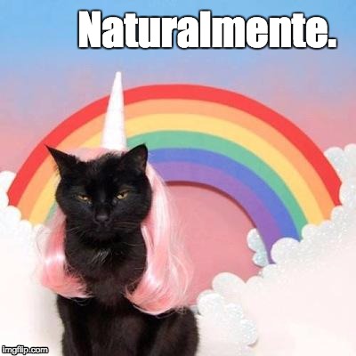 Duh Cat | Naturalmente. | image tagged in duh cat,naturalmente,you think,duh,no  really | made w/ Imgflip meme maker