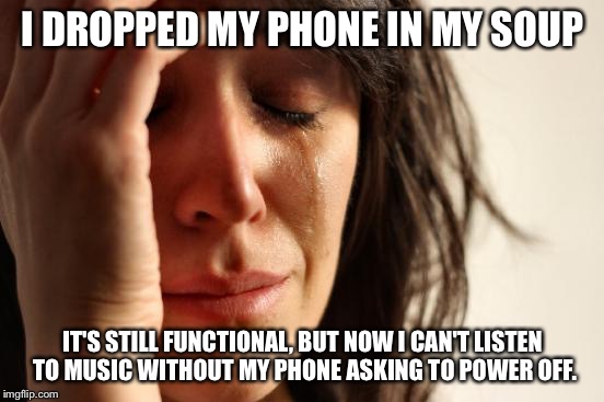 True story | I DROPPED MY PHONE IN MY SOUP; IT'S STILL FUNCTIONAL, BUT NOW I CAN'T LISTEN TO MUSIC WITHOUT MY PHONE ASKING TO POWER OFF. | image tagged in memes,first world problems,oops,iphone | made w/ Imgflip meme maker