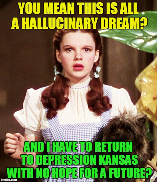 YOU MEAN THIS IS ALL A HALLUCINARY DREAM? AND I HAVE TO RETURN TO DEPRESSION KANSAS WITH NO HOPE FOR A FUTURE? | made w/ Imgflip meme maker