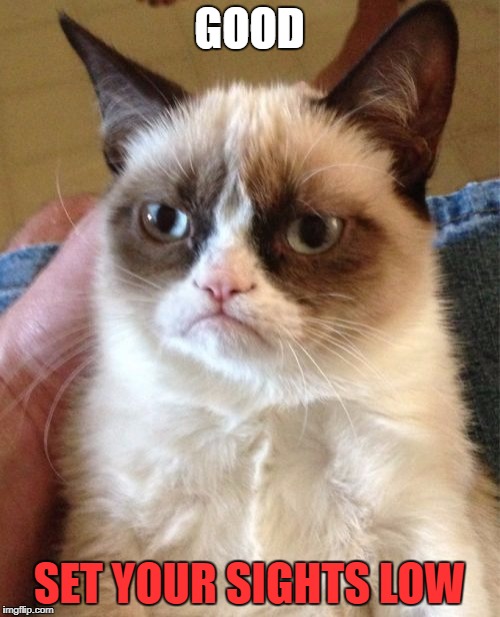 Grumpy Cat Meme | GOOD SET YOUR SIGHTS LOW | image tagged in memes,grumpy cat | made w/ Imgflip meme maker