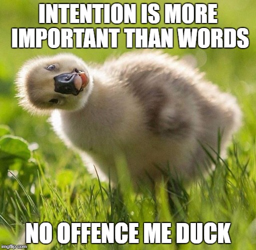 No offence me duck | INTENTION IS MORE IMPORTANT THAN WORDS; NO OFFENCE ME DUCK | image tagged in duckling | made w/ Imgflip meme maker
