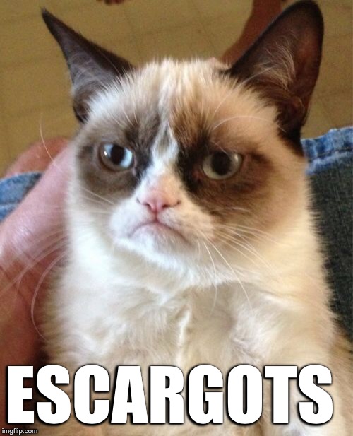 Grumpy Cat Meme | ESCARGOTS | image tagged in memes,grumpy cat | made w/ Imgflip meme maker