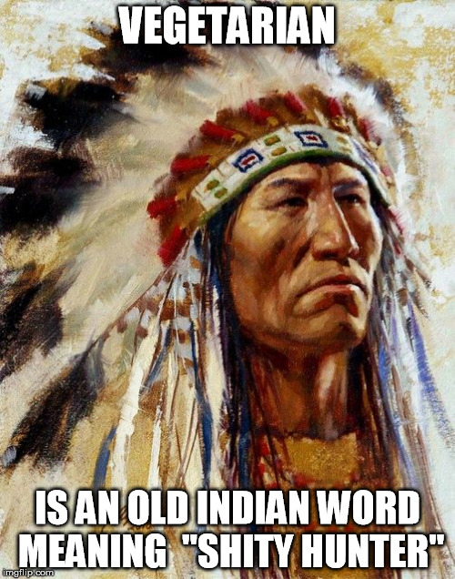 VEGETARIAN; IS AN OLD INDIAN WORD MEANING  "SHITY HUNTER" | image tagged in native american | made w/ Imgflip meme maker