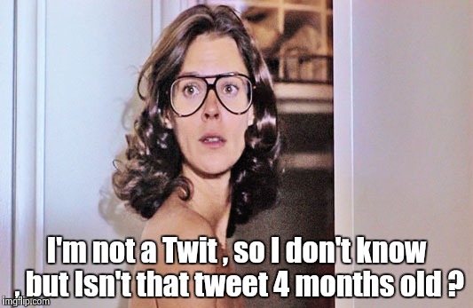 Jobeth Williams | I'm not a Twit , so I don't know , but Isn't that tweet 4 months old ? | image tagged in jobeth williams | made w/ Imgflip meme maker