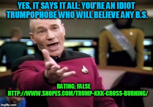Picard Wtf Meme | YES, IT SAYS IT ALL: YOU'RE AN IDIOT TRUMPOPHOBE WHO WILL BELIEVE ANY B.S. RATING: FALSE       
HTTP://WWW.SNOPES.COM/TRUMP-KKK-CROSS-BURNIN | image tagged in memes,picard wtf | made w/ Imgflip meme maker