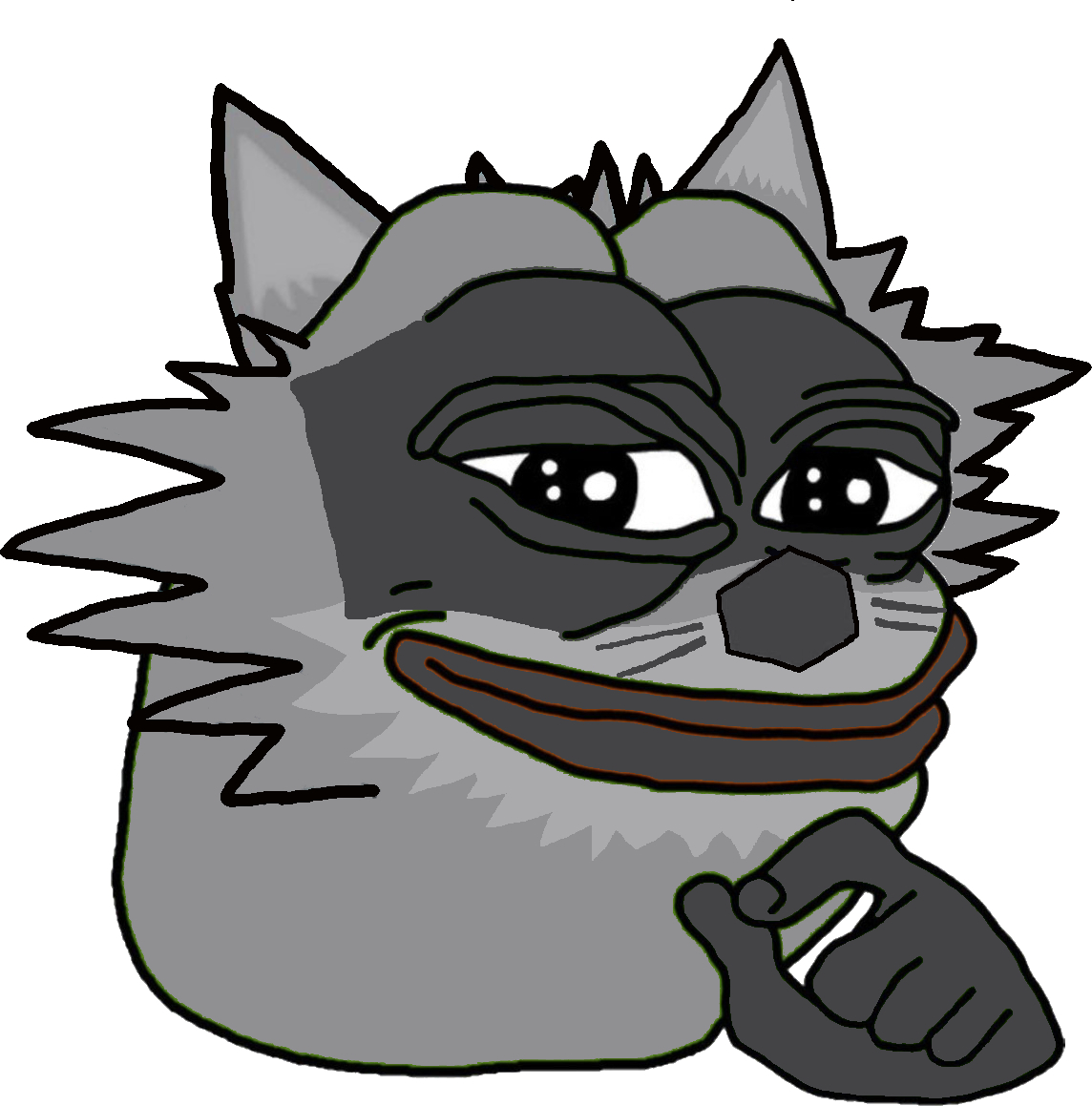 Raccoon Pepe Blank Meme Template
