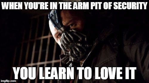 Permission Bane | WHEN YOU'RE IN THE ARM PIT OF SECURITY; YOU LEARN TO LOVE IT | image tagged in memes,permission bane | made w/ Imgflip meme maker