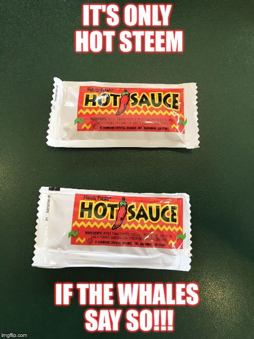 IT'S ONLY HOT STEEM; IF THE WHALES SAY SO!!! | image tagged in steem heat | made w/ Imgflip meme maker