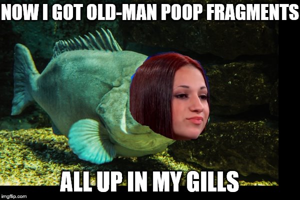 NOW I GOT OLD-MAN POOP FRAGMENTS ALL UP IN MY GILLS | made w/ Imgflip meme maker