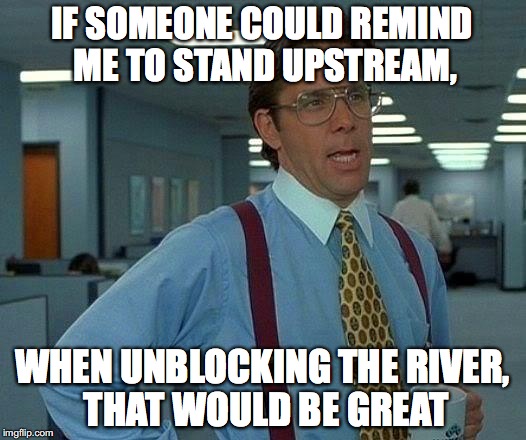why oh why do i never learn. | IF SOMEONE COULD REMIND ME TO STAND UPSTREAM, WHEN UNBLOCKING THE RIVER, THAT WOULD BE GREAT | image tagged in memes,that would be great,river,water,wet | made w/ Imgflip meme maker