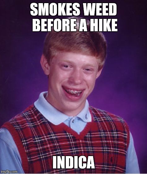 Any Cannabis Nerds? | SMOKES WEED BEFORE A HIKE; INDICA | image tagged in memes,bad luck brian,420,weed,cannabis | made w/ Imgflip meme maker