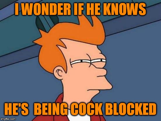 Futurama Fry Meme | I WONDER IF HE KNOWS HE'S  BEING COCK BLOCKED | image tagged in memes,futurama fry | made w/ Imgflip meme maker