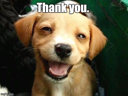 Dog Smiling | Thank you. | image tagged in dog smiling | made w/ Imgflip meme maker