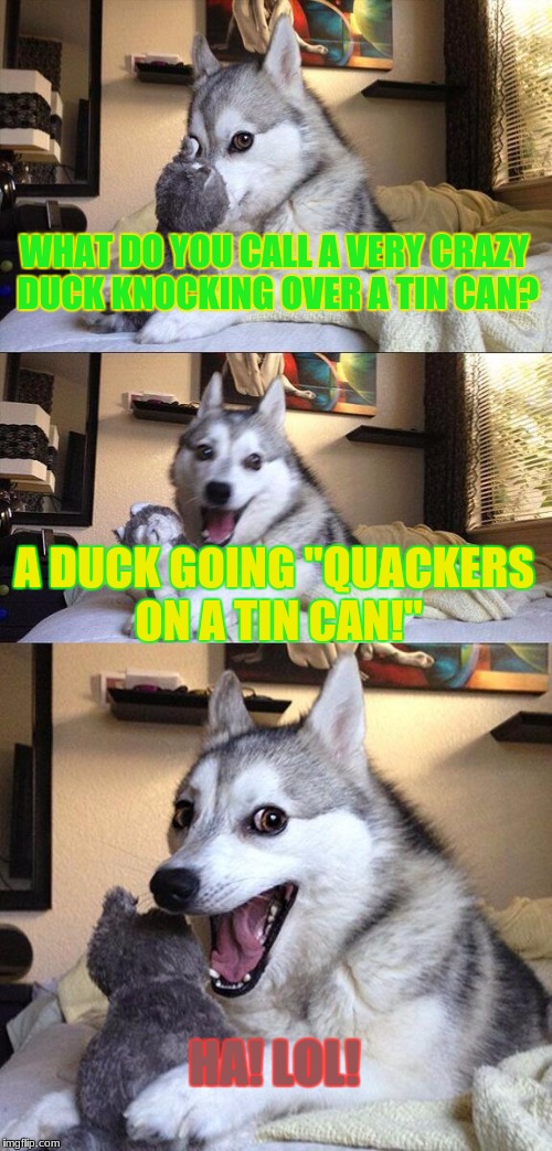 Bad Pun Dog Meme | WHAT DO YOU CALL A VERY CRAZY DUCK KNOCKING OVER A TIN CAN? A DUCK GOING "QUACKERS ON A TIN CAN!"; HA! LOL! | image tagged in memes,bad pun dog | made w/ Imgflip meme maker