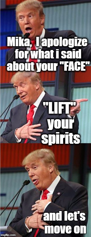 See what I did there? | Mika,  I apologize for what i said about your "FACE"; "LIFT" your spirits; and let's move on | image tagged in bad pun trump | made w/ Imgflip meme maker