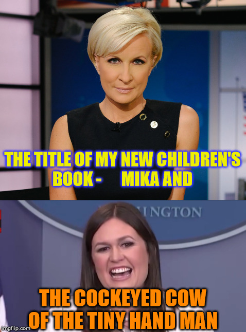 Enlighten Reading of Manners  | THE TITLE OF MY NEW CHILDREN'S BOOK -      MIKA AND; THE COCKEYED COW OF THE TINY HAND MAN | image tagged in miki brzezinski,sarah huckabee sanders | made w/ Imgflip meme maker