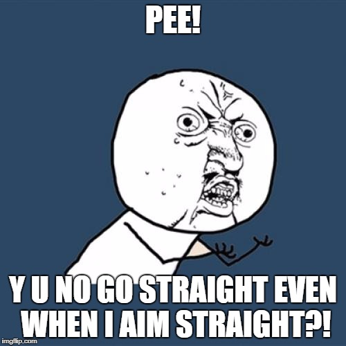 Y U No Meme | PEE! Y U NO GO STRAIGHT EVEN WHEN I AIM STRAIGHT?! | image tagged in memes,y u no | made w/ Imgflip meme maker