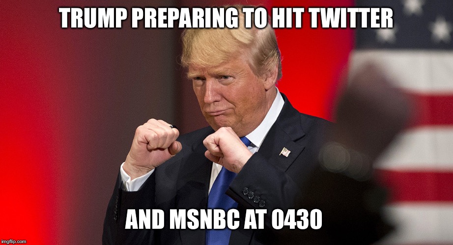 Prepare To Fight | TRUMP PREPARING TO HIT TWITTER; AND MSNBC AT 0430 | image tagged in trump winning | made w/ Imgflip meme maker