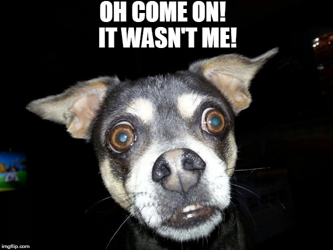 OH COME ON! IT WASN'T ME! | made w/ Imgflip meme maker