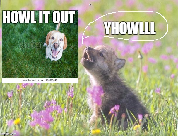 Baby Insanity Wolf Meme | YHOWLLL; HOWL IT OUT | image tagged in memes,baby insanity wolf | made w/ Imgflip meme maker