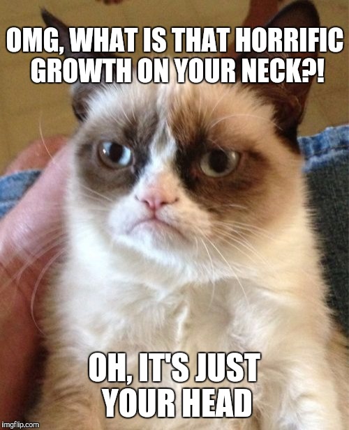 Grumpy Cat | OMG, WHAT IS THAT HORRIFIC GROWTH ON YOUR NECK?! OH, IT'S JUST YOUR HEAD | image tagged in memes,grumpy cat,jbmemegeek | made w/ Imgflip meme maker