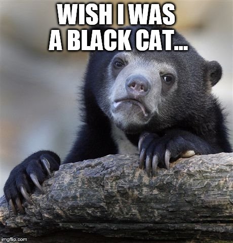 Confession Bear Meme | WISH I WAS A BLACK CAT... | image tagged in memes,confession bear | made w/ Imgflip meme maker