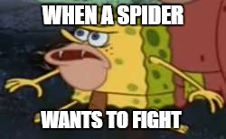 SPIDERS WILL NOT PREVAIL | WHEN A SPIDER; WANTS TO FIGHT | image tagged in caveman spongebob,spider,spongebob | made w/ Imgflip meme maker