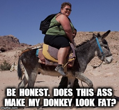 7 | BE  HONEST.  DOES  THIS  ASS MAKE  MY  DONKEY  LOOK  FAT? | image tagged in d | made w/ Imgflip meme maker