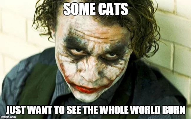 Joker Observation - cats | SOME CATS; JUST WANT TO SEE THE WHOLE WORLD BURN | image tagged in joker,cat,burn | made w/ Imgflip meme maker