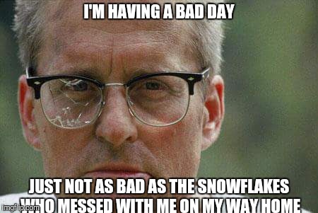 Michael Douglas. Falling Down | I'M HAVING A BAD DAY; JUST NOT AS BAD AS THE SNOWFLAKES WHO MESSED WITH ME ON MY WAY HOME | image tagged in michael douglas falling down | made w/ Imgflip meme maker