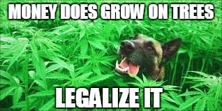 MONEY DOES GROW ON TREES LEGALIZE IT | made w/ Imgflip meme maker