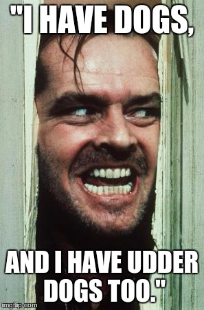 Here's Johnny | "I HAVE DOGS, AND I HAVE UDDER DOGS TOO." | image tagged in memes,heres johnny | made w/ Imgflip meme maker