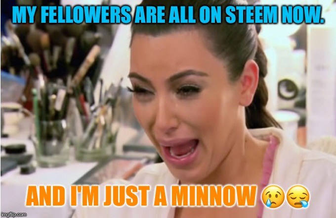 Kim Kardashian Crying | MY FELLOWERS ARE ALL ON STEEM NOW. AND I'M JUST A MINNOW 😢😪 | image tagged in kim kardashian crying | made w/ Imgflip meme maker