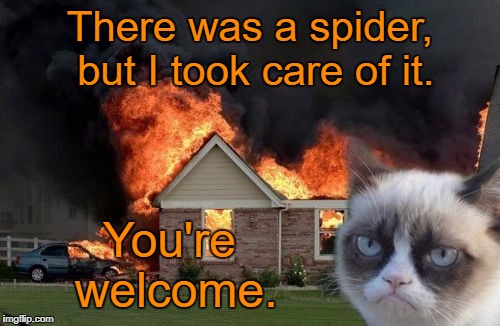 Burn Kitty | There was a spider, but I took care of it. You're welcome. | image tagged in memes,burn kitty,grumpy cat | made w/ Imgflip meme maker