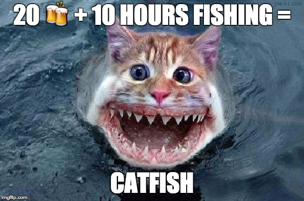 Catfish | 20 🍻 + 10 HOURS FISHING =; CATFISH | image tagged in catfish | made w/ Imgflip meme maker