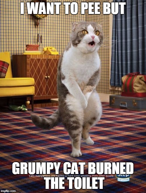 Gotta Go Cat | I WANT TO PEE BUT; GRUMPY CAT BURNED THE TOILET | image tagged in memes,gotta go cat | made w/ Imgflip meme maker