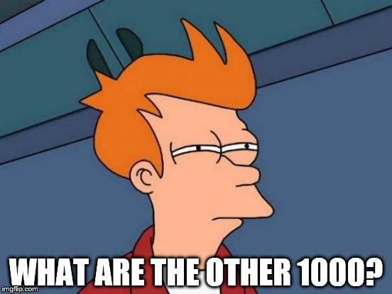 Futurama Fry Meme | WHAT ARE THE OTHER 1000? | image tagged in memes,futurama fry | made w/ Imgflip meme maker