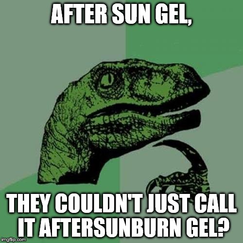 Philosoraptor Meme | AFTER SUN GEL, THEY COULDN'T JUST CALL IT AFTERSUNBURN GEL? | image tagged in memes,philosoraptor | made w/ Imgflip meme maker