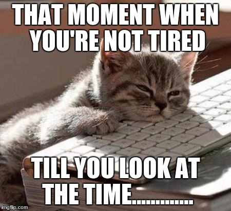 THAT MOMENT WHEN YOU'RE NOT TIRED; TILL YOU LOOK AT THE TIME............. | image tagged in tired,sleep,time | made w/ Imgflip meme maker