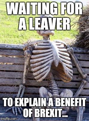 Waiting Skeleton | WAITING FOR A LEAVER; TO EXPLAIN A BENEFIT OF BREXIT... | image tagged in memes,waiting skeleton | made w/ Imgflip meme maker
