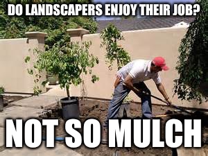 Career choices | DO LANDSCAPERS ENJOY THEIR JOB? NOT SO MULCH | image tagged in gardening | made w/ Imgflip meme maker