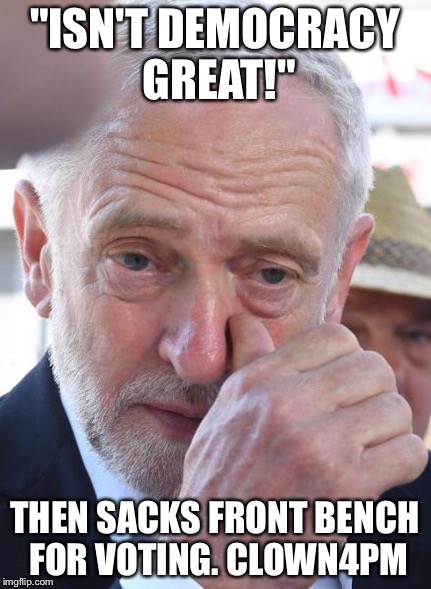 "ISN'T DEMOCRACY GREAT!"; THEN SACKS FRONT BENCH FOR VOTING. CLOWN4PM | image tagged in jezbolah | made w/ Imgflip meme maker