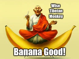 WiseTibetanMonkey | Wise Tibetan Monkey; Banana Good! | image tagged in wise man,monkey bananas | made w/ Imgflip meme maker