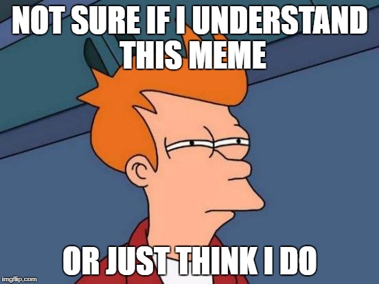 Not Sure If I Understand | NOT SURE IF I UNDERSTAND THIS MEME; OR JUST THINK I DO | image tagged in memes,futurama fry,not sure if,understand | made w/ Imgflip meme maker