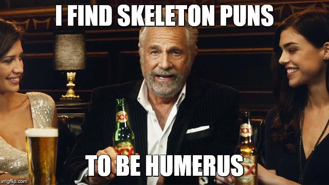 The Most Interesting Man in the World | I FIND SKELETON PUNS TO BE HUMERUS | image tagged in the most interesting man in the world 2 | made w/ Imgflip meme maker